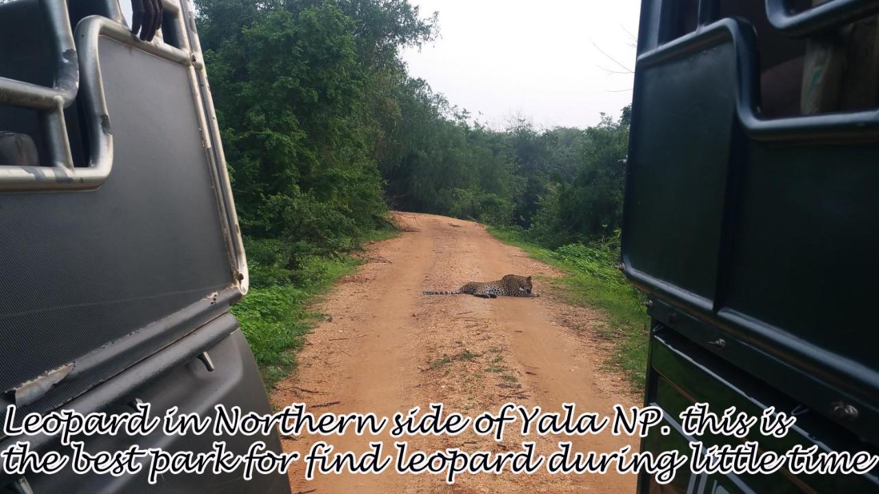 Yala Avian Eye Safari Apartment Buttala Luaran gambar