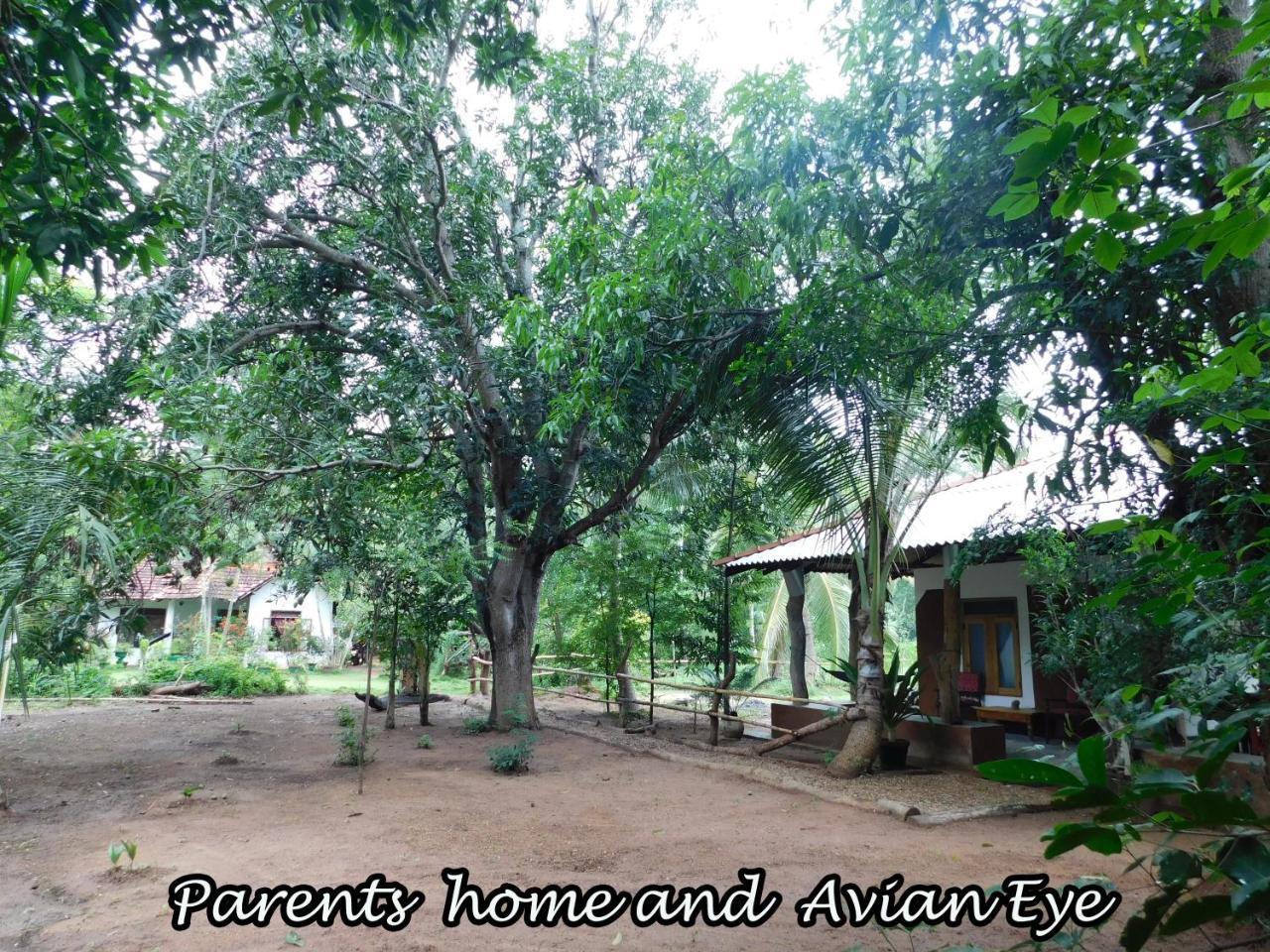 Yala Avian Eye Safari Apartment Buttala Luaran gambar