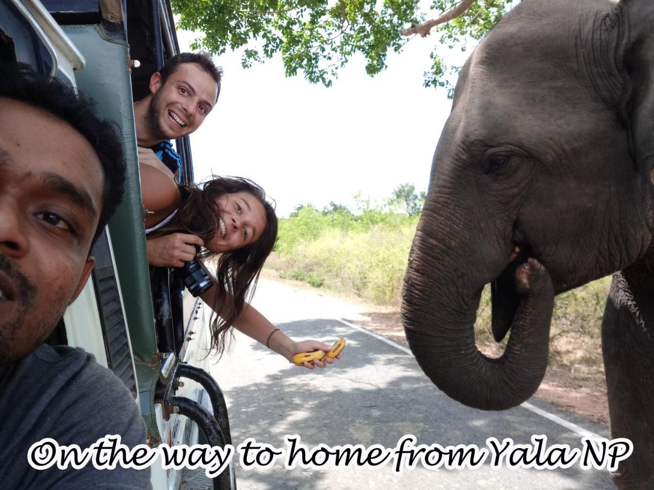 Yala Avian Eye Safari Apartment Buttala Luaran gambar