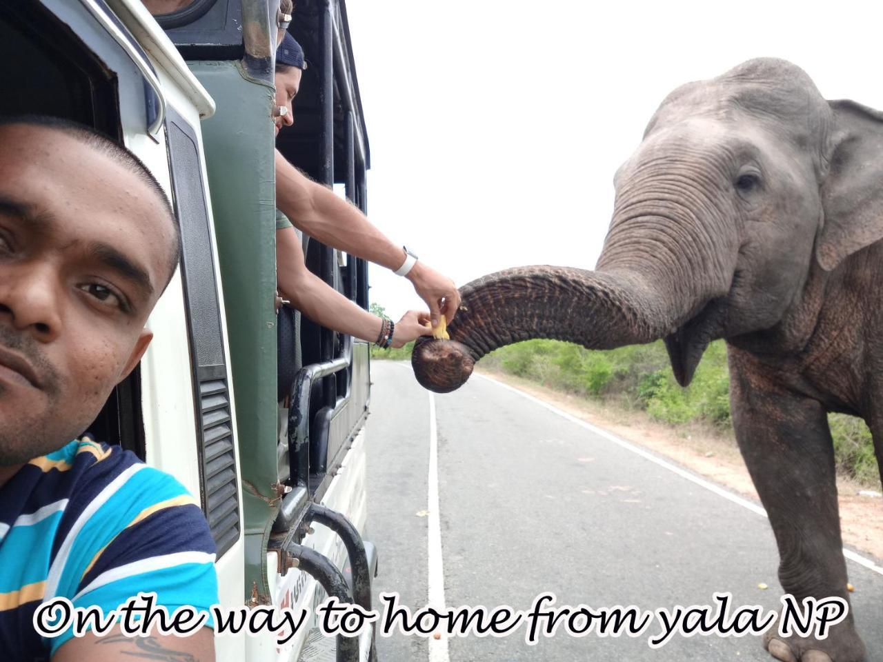 Yala Avian Eye Safari Apartment Buttala Luaran gambar